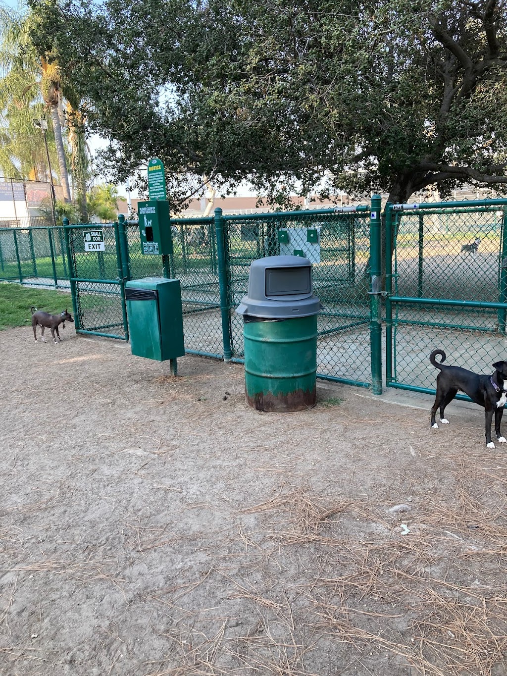 Dog Park | Garden Grove | 13601 Deodara Dr, Garden Grove, CA 92844, USA | Phone: (714) 741-5000