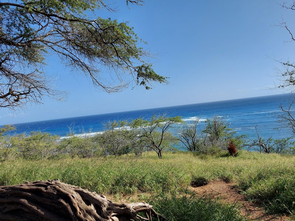 Diamond Head Beach Park | 3300 Diamond Head Rd, Honolulu, HI 96815, USA | Phone: (808) 768-3003