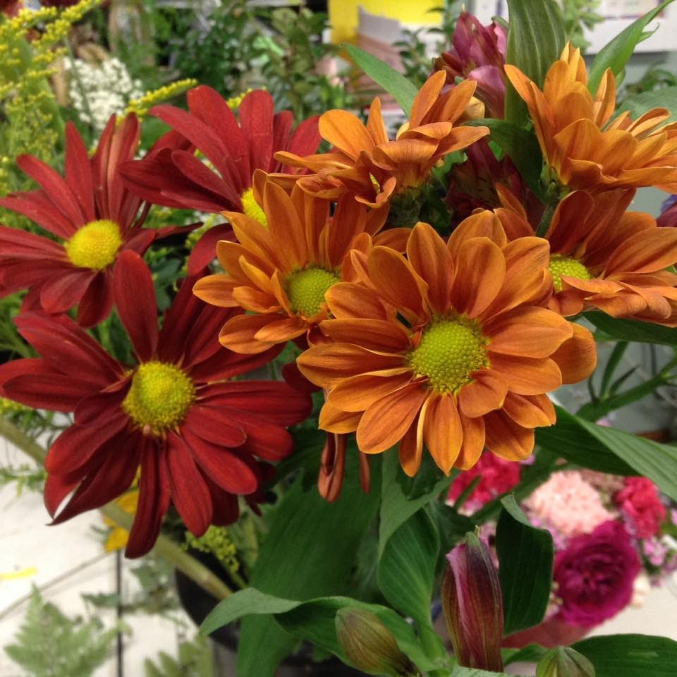 Precious Flowers & Gifts | 3230 Mitchell Rd, Ceres, CA 95307, USA | Phone: (209) 541-1313