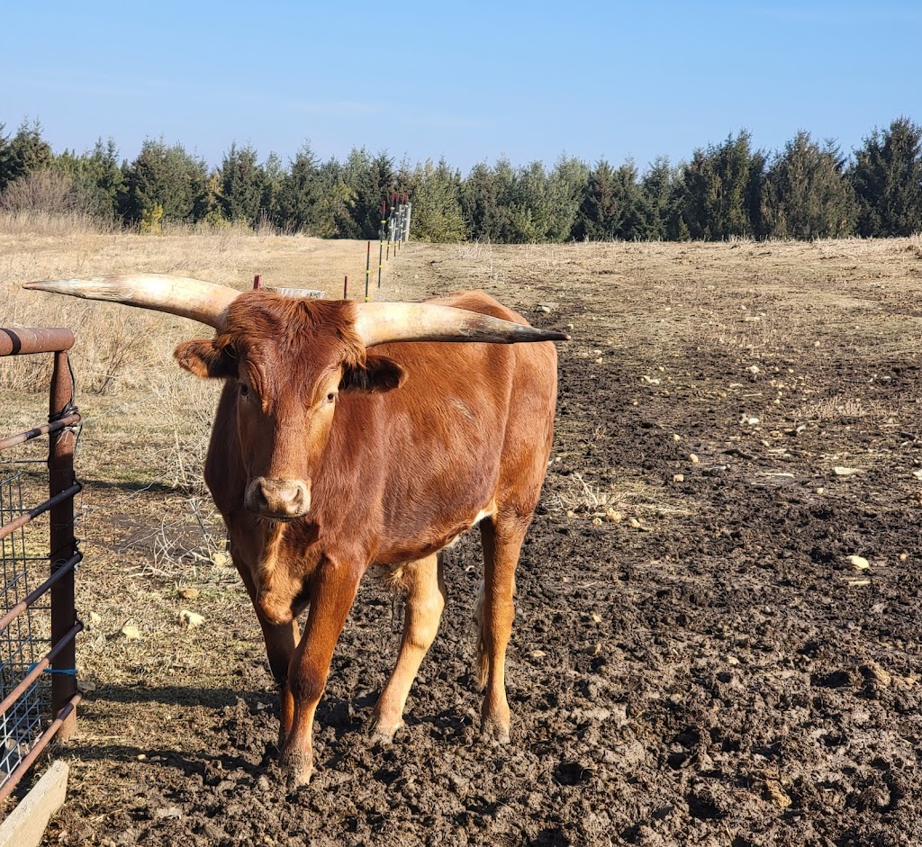 Havens Petting Farm | 2894 Erbe Rd, Blue Mounds, WI 53517, USA | Phone: (608) 513-5816