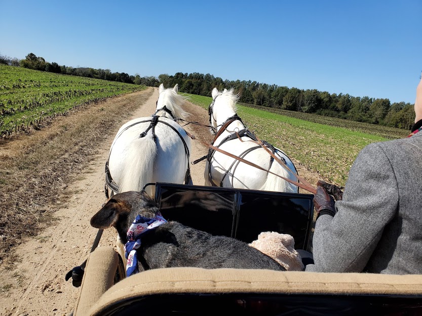 Hundley Carriages | 8300 Hopkins Rd, Richmond, VA 23237, USA | Phone: (804) 743-9233