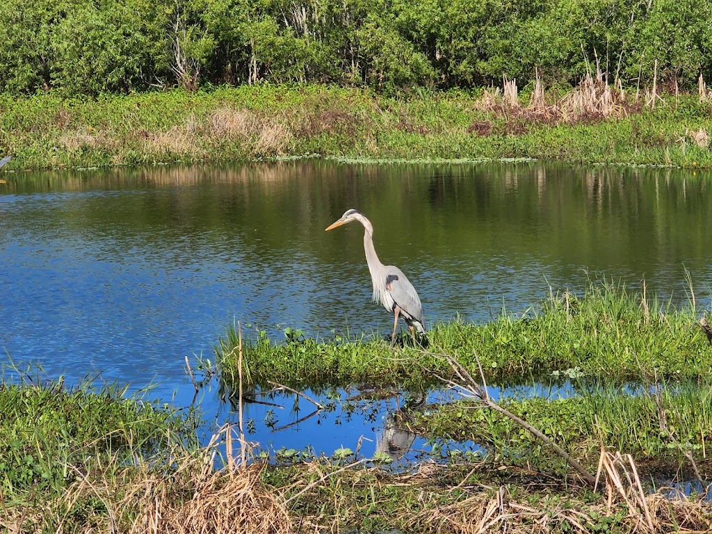 Circle B Bar Reserve | 4399 Winter Lake Rd, Lakeland, FL 33803, USA | Phone: (863) 534-7377