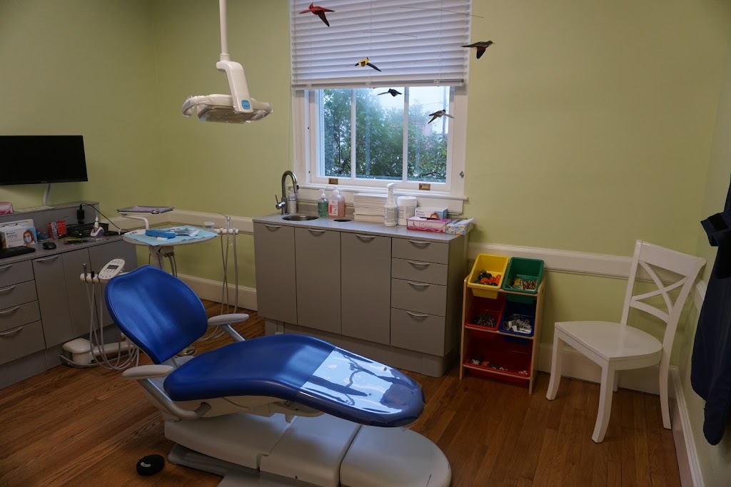 Ann Arbor Pediatric Dentistry | 200 S Main St, Chelsea, MI 48118, USA | Phone: (734) 562-2430