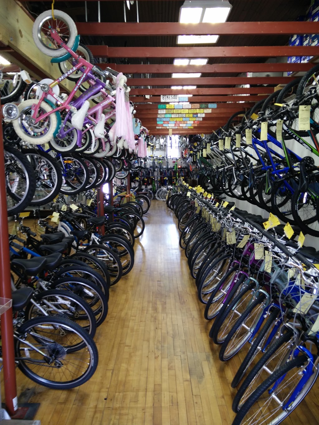 Sun City Cyclery & Skates | 235 E Main St, Sun Prairie, WI 53590, USA | Phone: (608) 837-2453