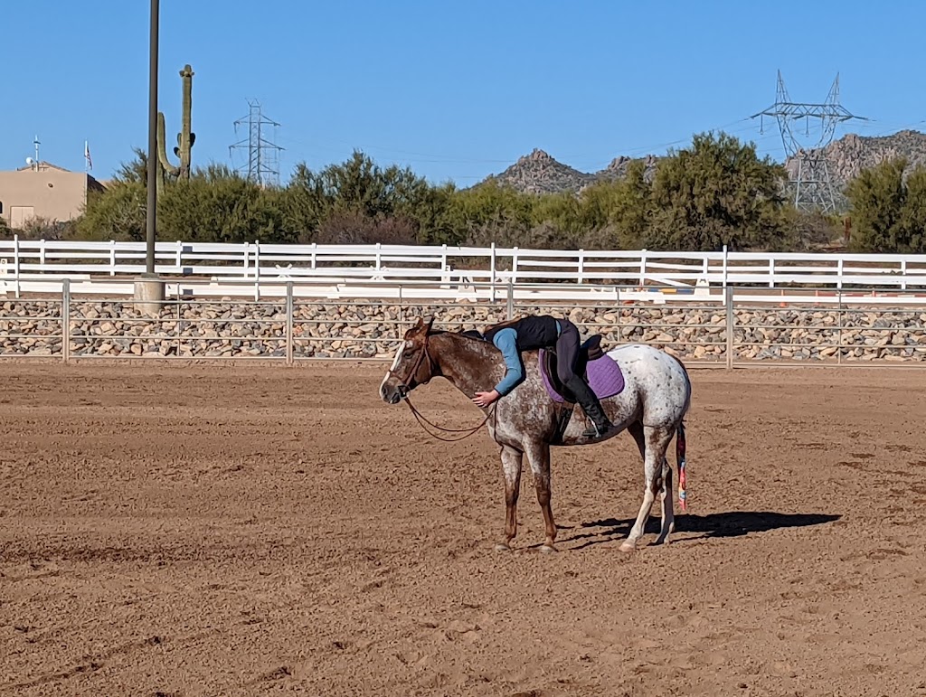 Samantha Walker Performance Horses (SWPH) | 15030 E Chaparosa Way, Scottsdale, AZ 85262, USA | Phone: (480) 577-1165