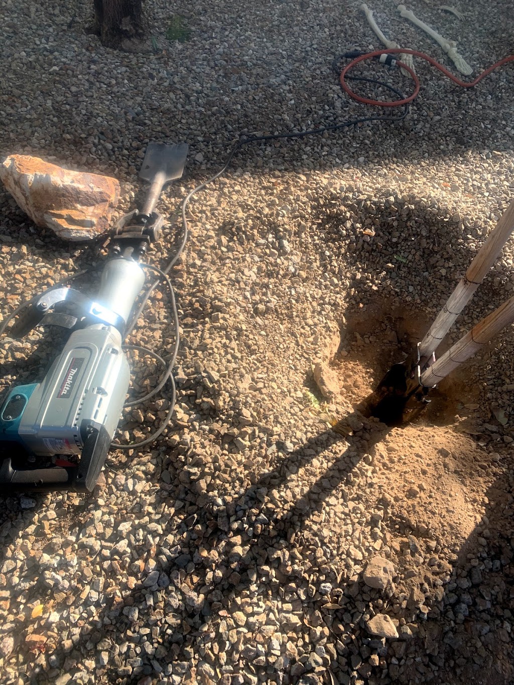 Curly Bs Little Free Library | 18013 W Vogel Ave, Waddell, AZ 85355, USA | Phone: (602) 730-0736