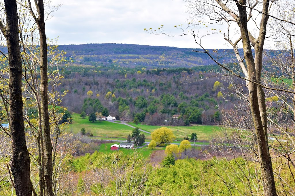 Holt Preserve | Upper Copeland Hill Rd, Selkirk, NY 12158, USA | Phone: (518) 436-6346