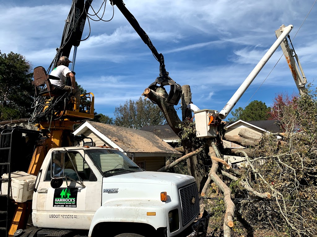 Central Alabama Tree Service | 2107 Lakeview Heights, Clanton, AL 35045, USA | Phone: (334) 322-6462