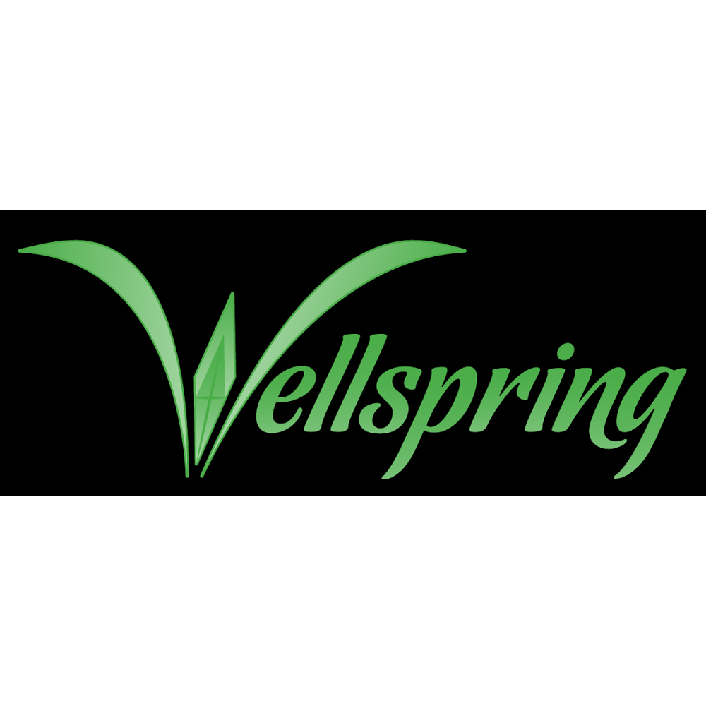 Wellspring Counseling Services, LLC | 2589 S Five Mile Rd, Boise, ID 83709, USA | Phone: (208) 908-6320