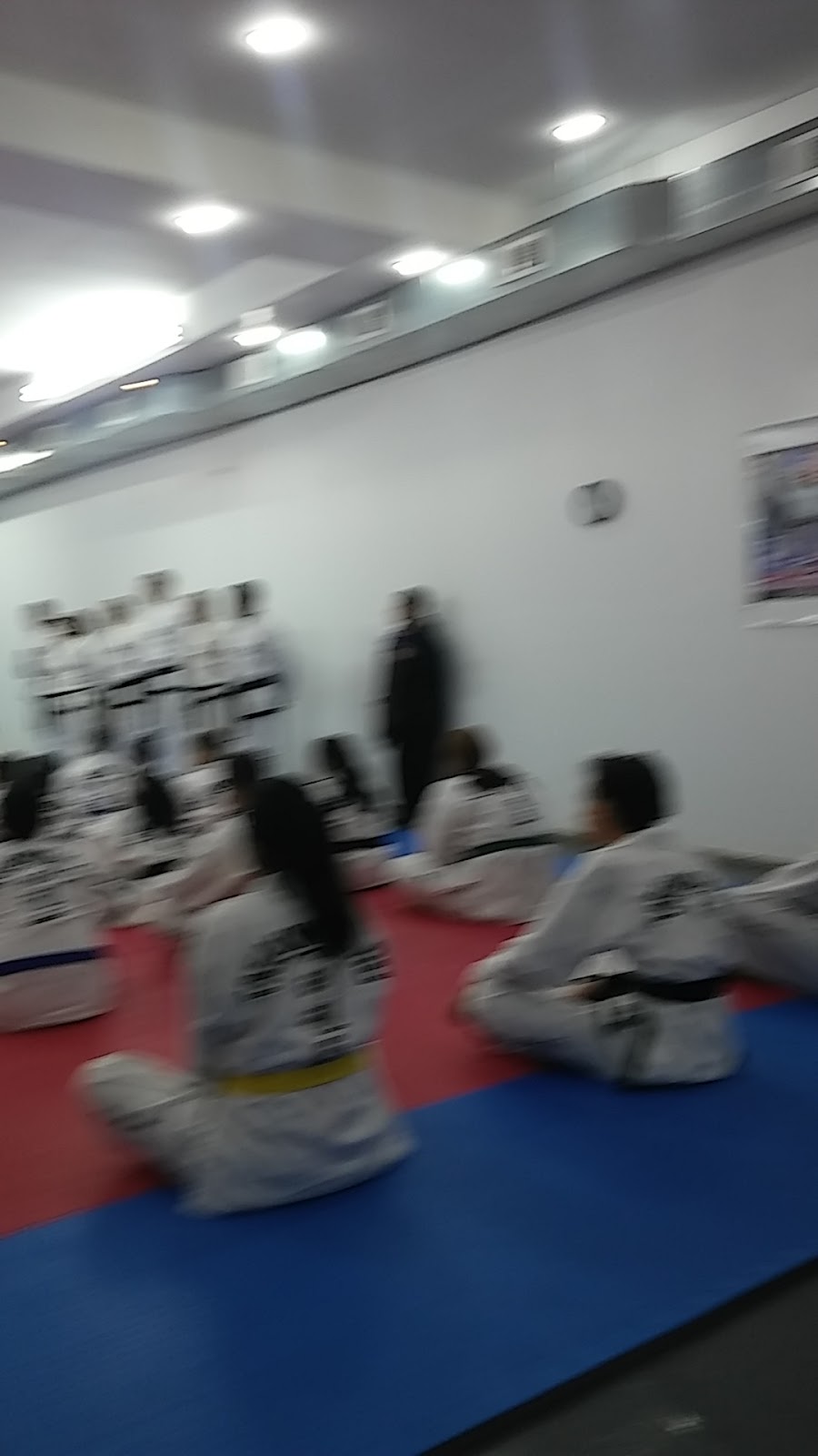 Tiger Martial Arts Training Center | 169 McLean Ave, Yonkers, NY 10705, USA | Phone: (347) 454-6173
