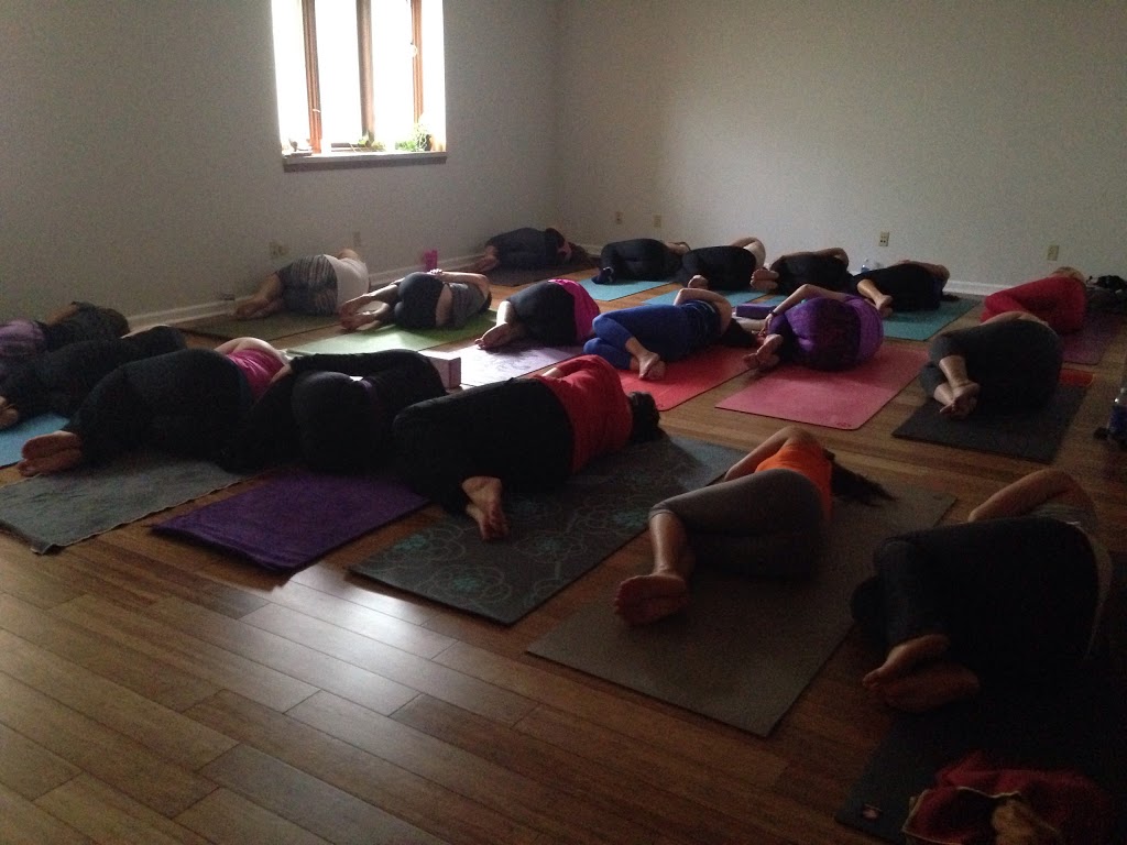 Blue Moon Yoga Studio | 14532 Pearl Rd, Strongsville, OH 44136, USA | Phone: (440) 334-4292