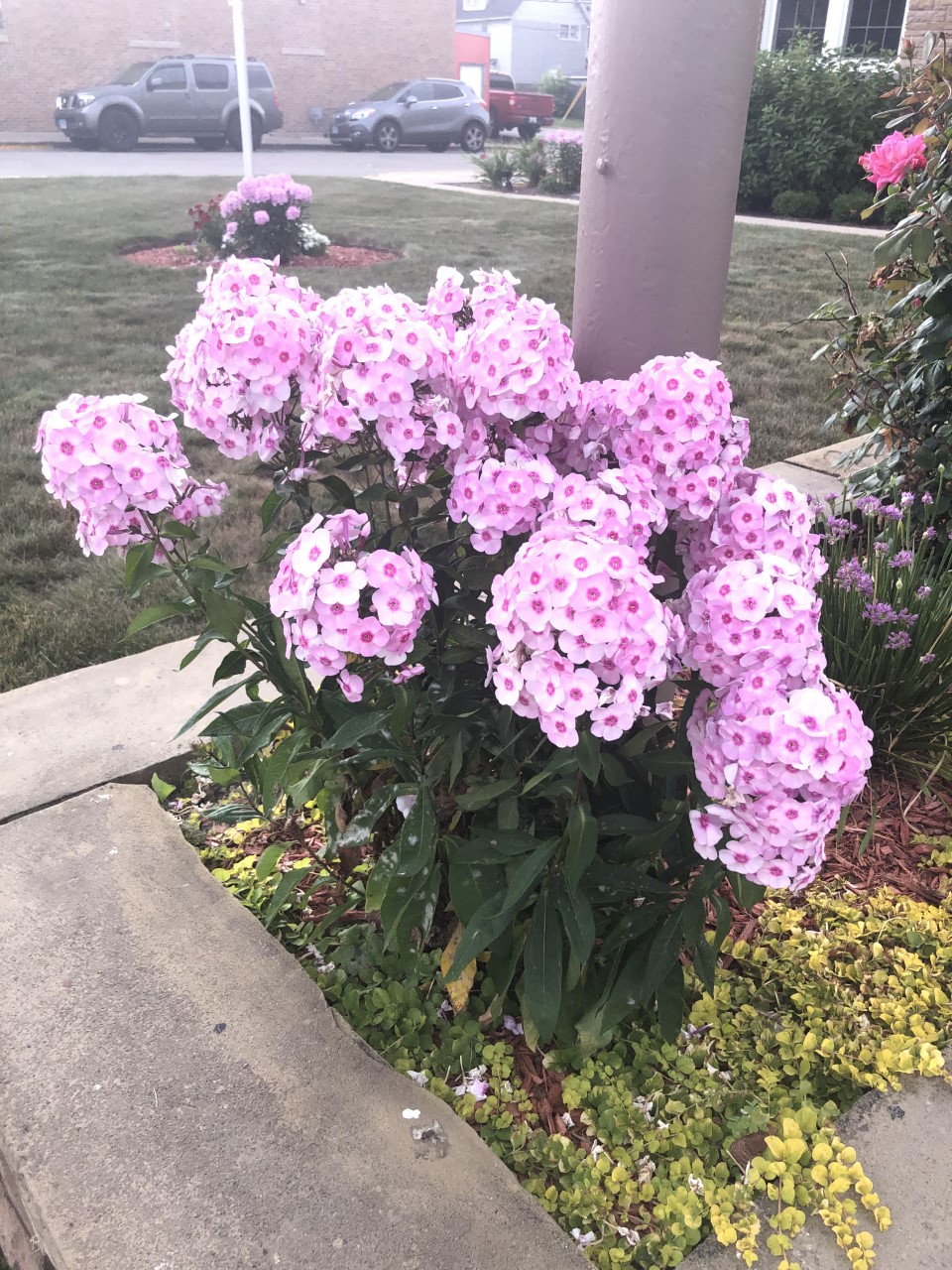 The Memorial Chapel Funeral Home & Cremation Services | 1521 Washington St, Waukegan, IL 60085, USA | Phone: (847) 623-3730