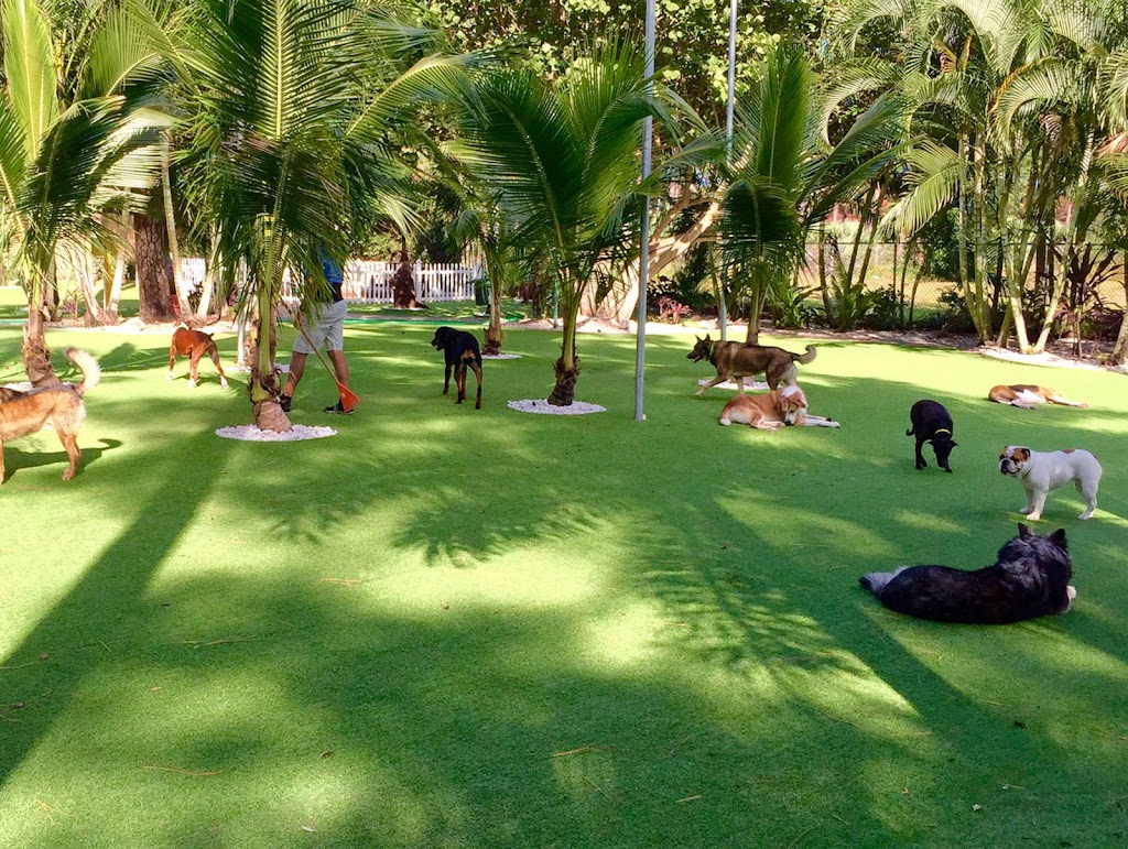 Global Syn-Turf: Artificial Grass & Installation Supplies | 10601 Seymour Ave #400, Franklin Park, IL 60131, USA | Phone: (877) 796-8873 Global Syn-Turf: Artificial Grass & Installation Supplies | 10601 Seymour Ave #400, Franklin Park, IL 60131, USA | Phone: (877) 796-8873