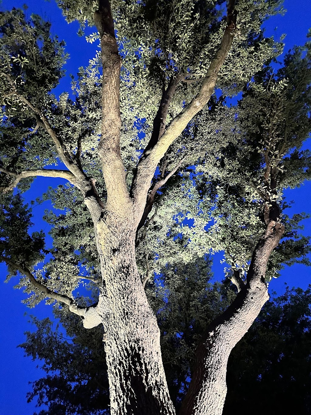 Tee Pee Electric | 4950 Gordon Smith Dr, Rowlett, TX 75088, USA | Phone: (469) 628-7444