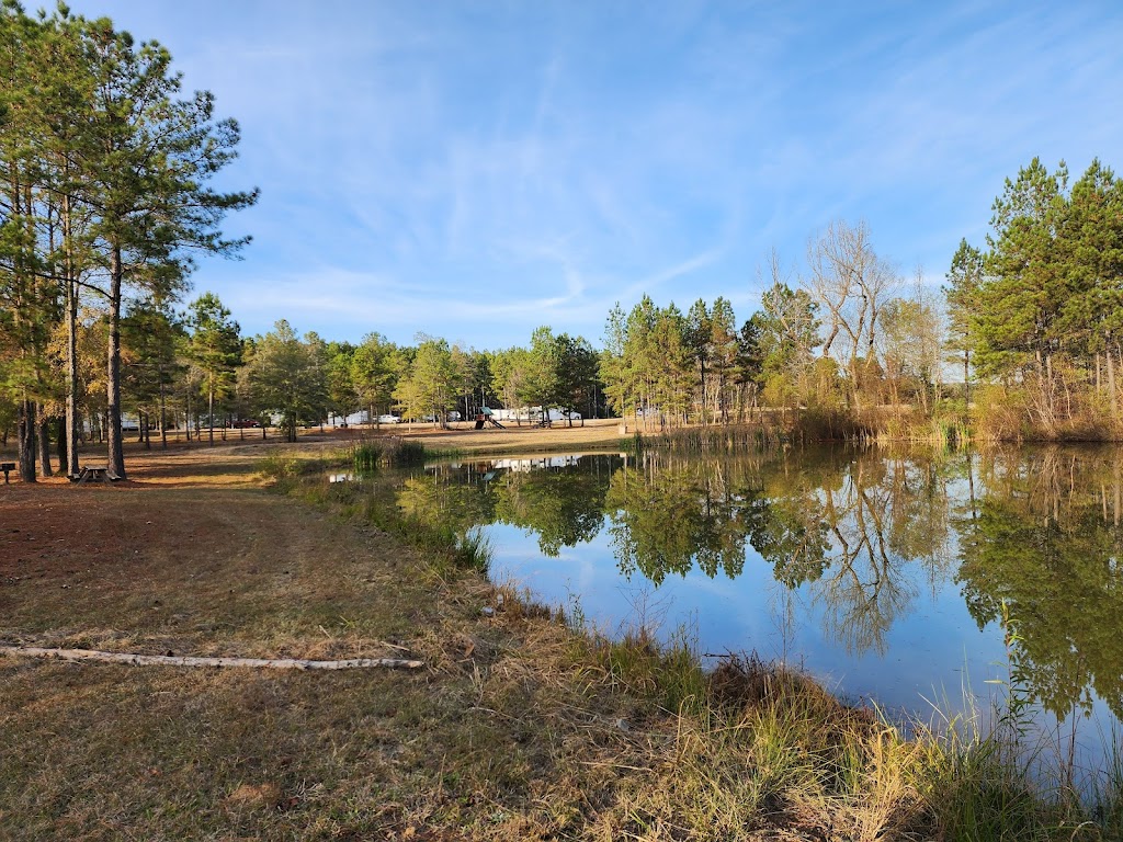 Stony Lonesome OHV Park | 10075 AL-69, Bremen, AL 35033, USA | Phone: (256) 287-1133