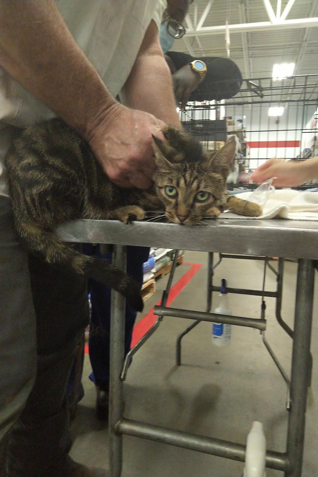 ProtectMyPet Vaccinations Clinic at Tractor Supply Co. | 115 Greystone Power Blvd, Dallas, GA 30157, USA | Phone: (770) 443-3352