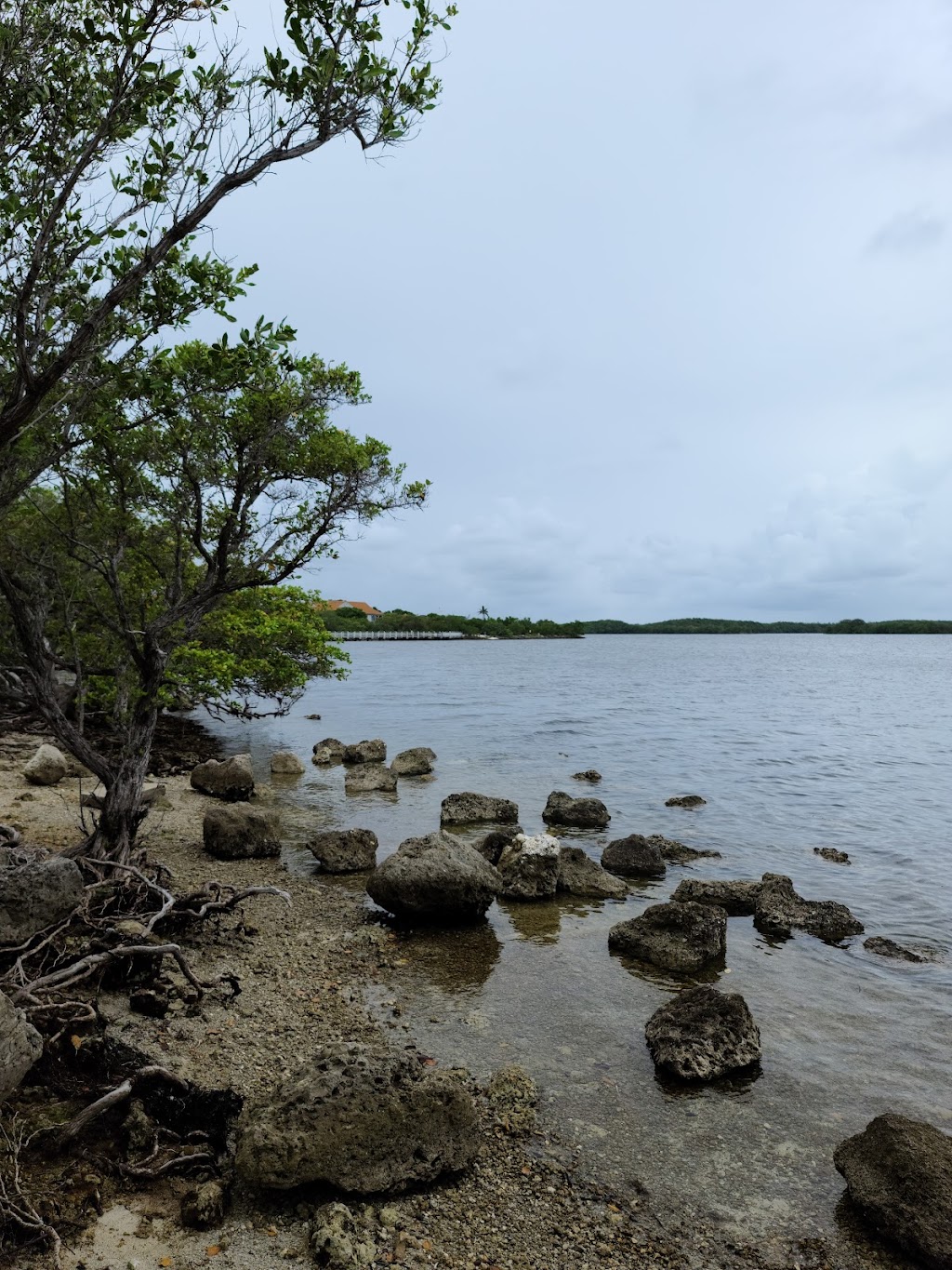 Biscayne National Park Institute | 9700 SW 328th St, Homestead, FL 33033, USA | Phone: (786) 335-3644