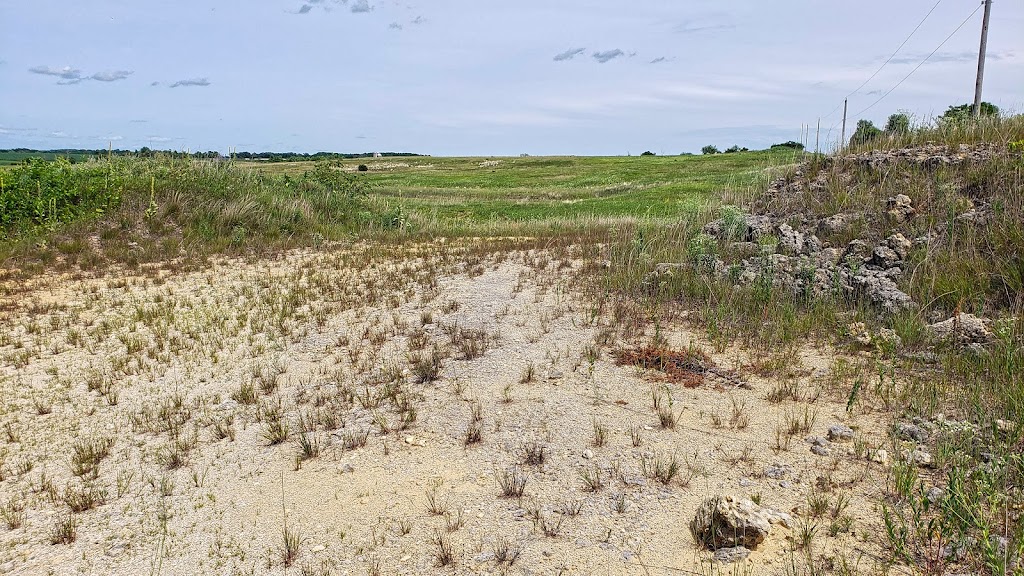 York Prairie State Natural Area | Blanchardville, WI 53516, USA | Phone: (888) 936-7463