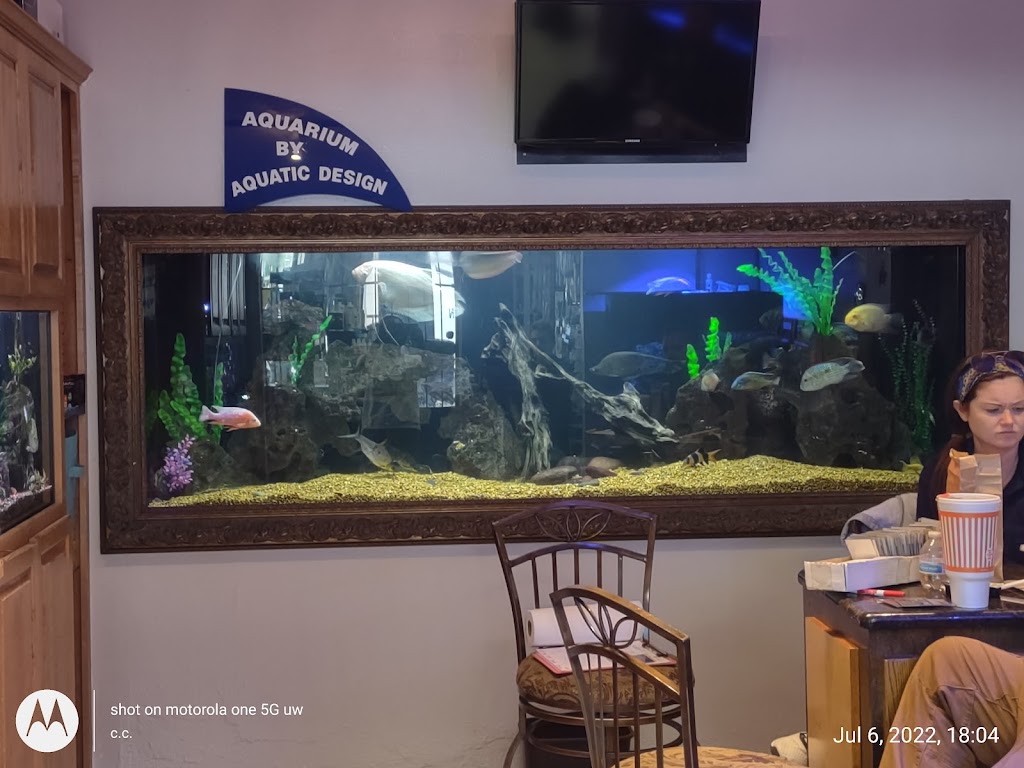 Aquatic Design Aquariums | 1629 N US 75-Central Expy 1000, Plano, TX 75075, USA | Phone: (972) 423-0414