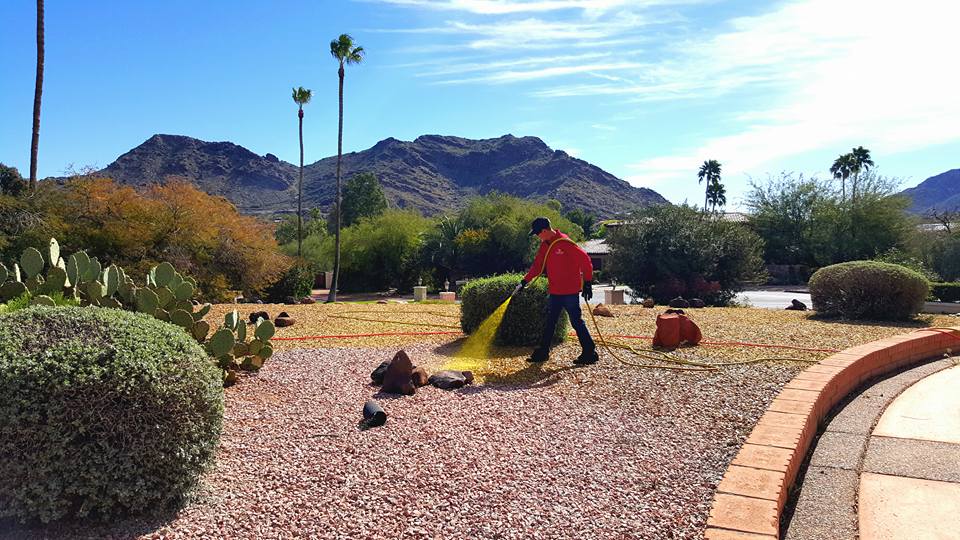 Gary Bs Pest & Weed Control | 3444 E Norwood Cir, Mesa, AZ 85213, USA | Phone: (602) 326-4891