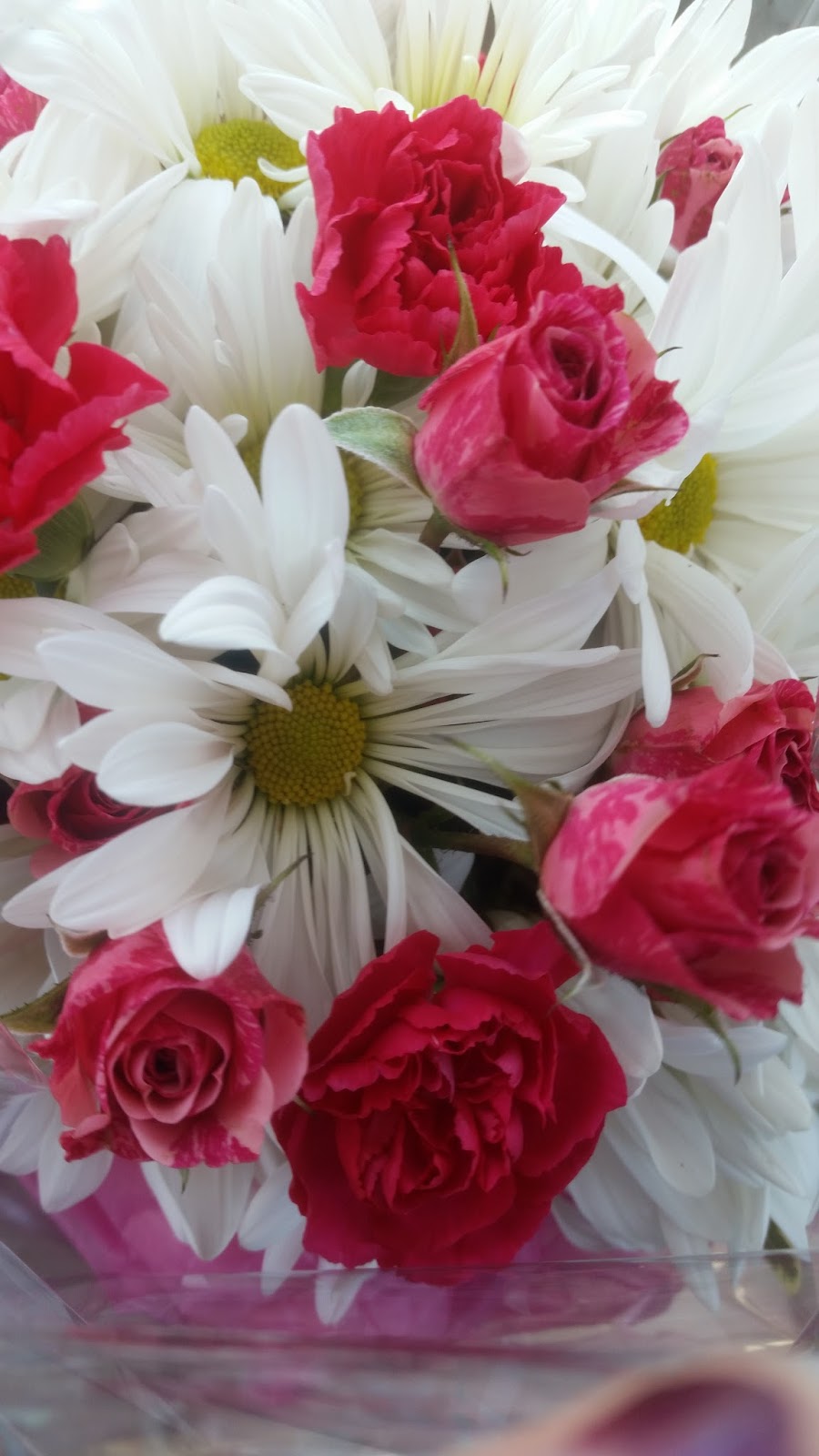 Bella Florist and Gifts | 5476 Dixie Hwy, Waterford Twp, MI 48329, USA | Phone: (248) 623-1100