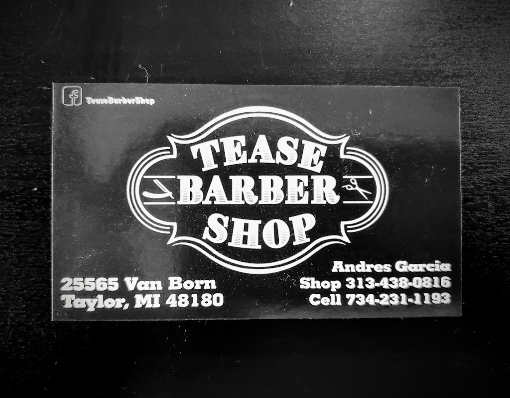 Tease Barber & Beauty Shop | 25565 Van Born Rd, Taylor, MI 48180, USA | Phone: (313) 438-0816