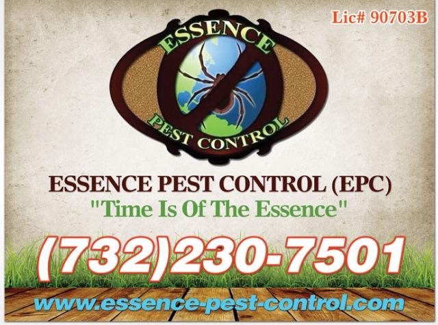 Essence Pest Control | 55 15th St, Somerset, NJ 08873, USA | Phone: (732) 230-7501