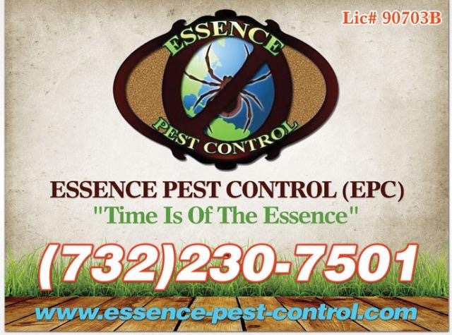 Essence Pest Control | 55 15th St, Somerset, NJ 08873, USA | Phone: (732) 230-7501