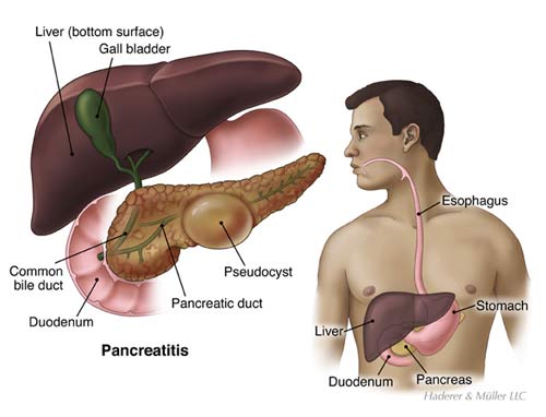 North Shore Gastroenterology & Endoscopy Center | 7580 Northcliff Ave #1000, Brooklyn, OH 44144, USA | Phone: (440) 808-1212