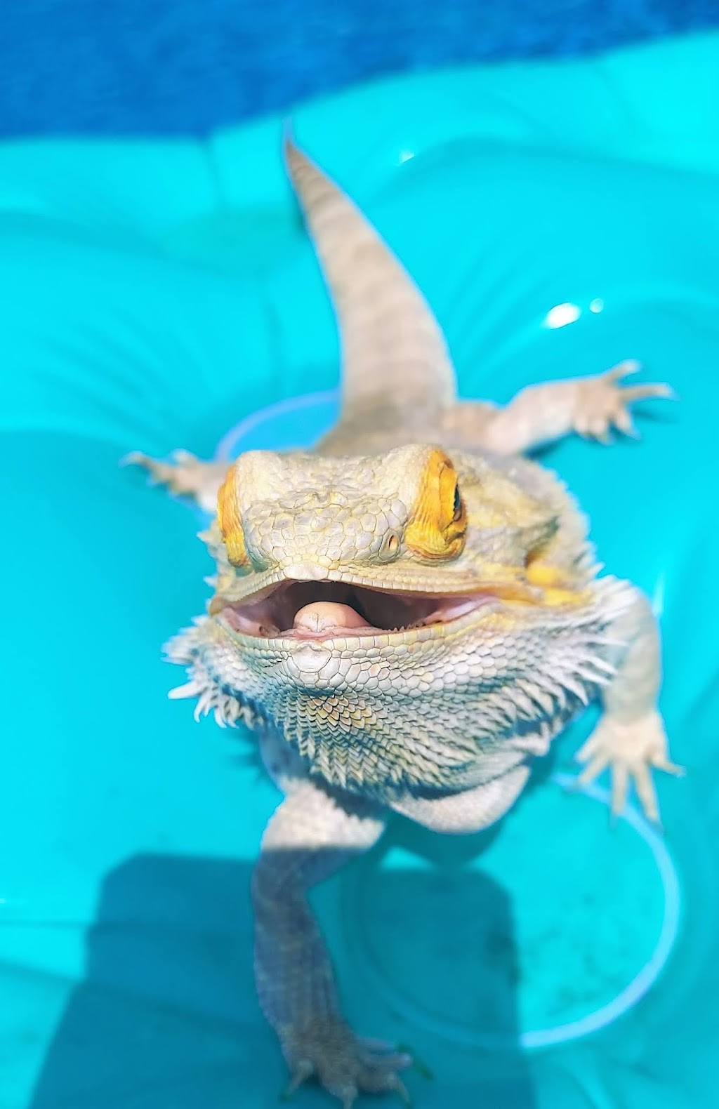 Sunshine State Worms | 11411 Citrus Way #2, Brooksville, FL 34601, USA | Phone: (727) 207-6753