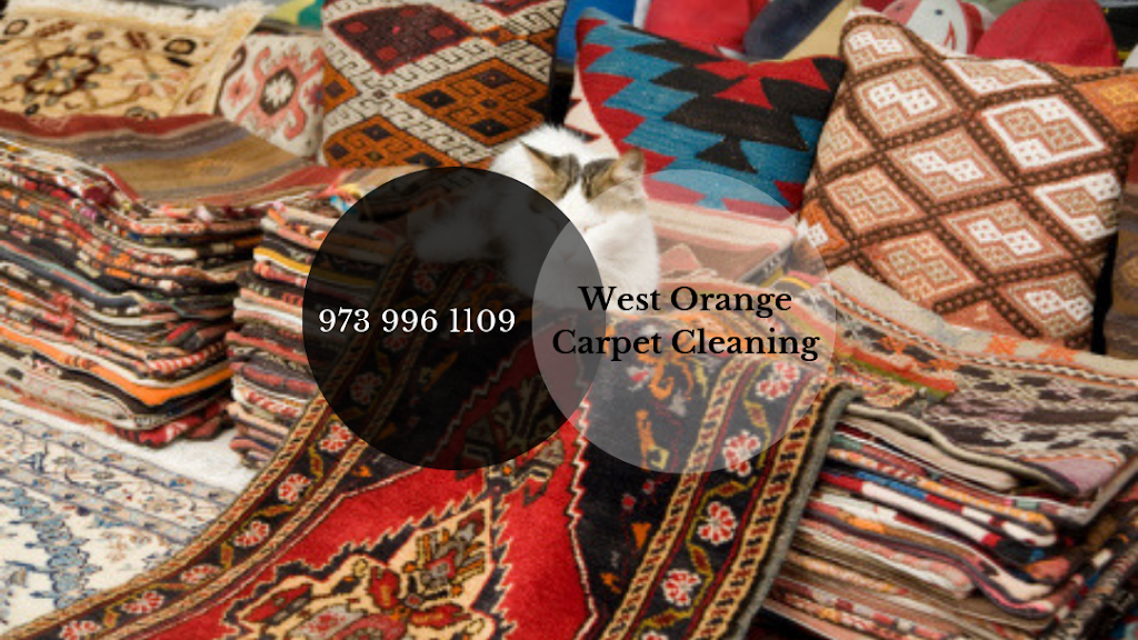 West Orange Carpet Cleaning | 414 Eagle Rock Ave, West Orange, NJ 07052, USA | Phone: (973) 996-1109