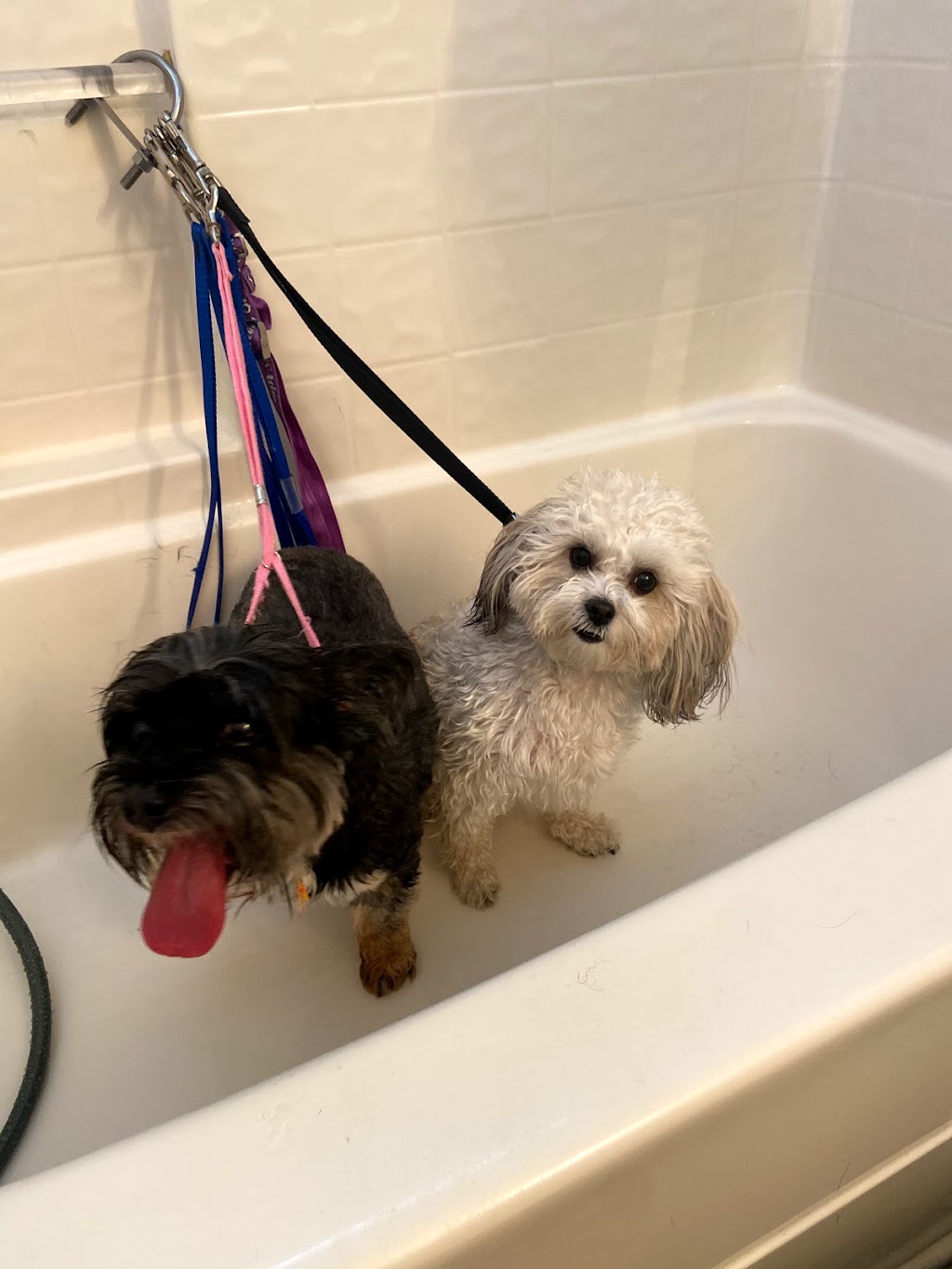 Express Mobile Truck Repair, LLC. | 1304 Teacup Spring Ct, Wake Forest, NC 27587, USA | Phone: (919) 603-7059