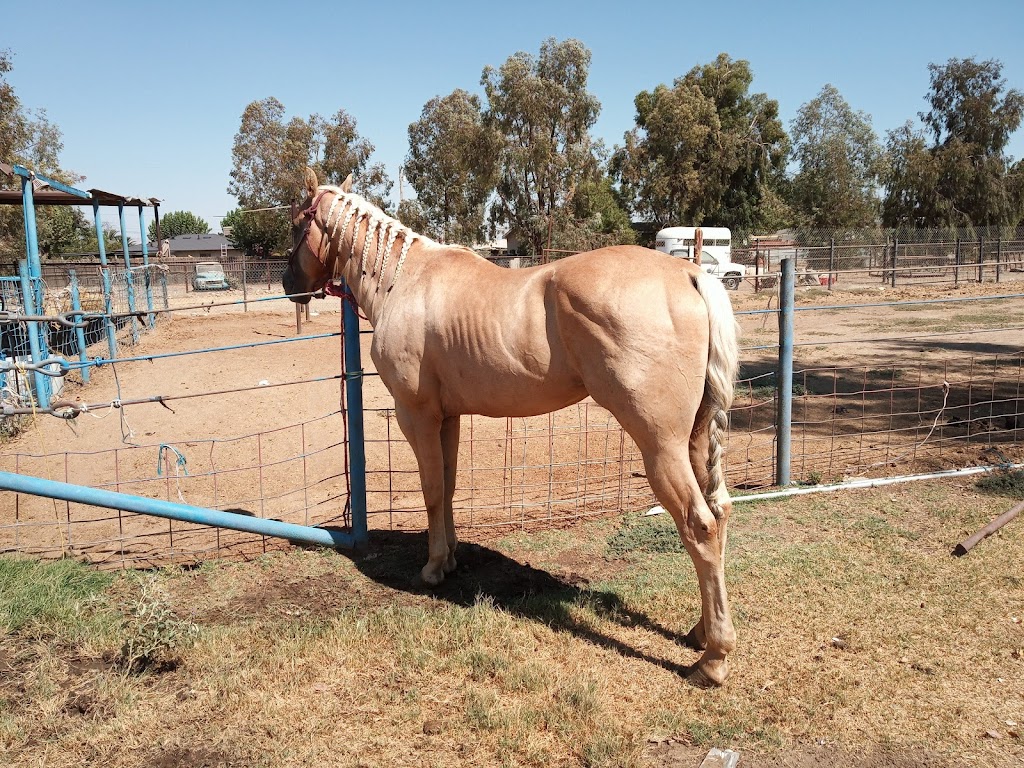 A Country RV Park | 622 S Fairfax Rd, Bakersfield, CA 93307, USA | Phone: (661) 363-6412