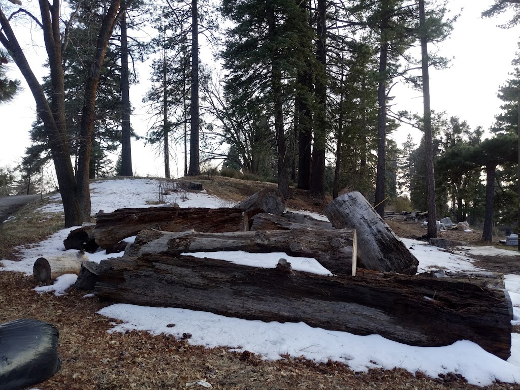 Big Bear Cabins | 421 Crane Dr, Big Bear Lake, CA 92315, USA | Phone: (800) 770-2210
