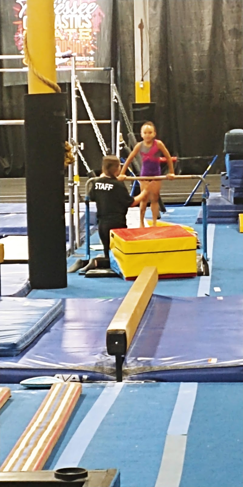 Mt. Juliet Elite Gymnastics | 490 Industrial Dr, Mt. Juliet, TN 37122, USA | Phone: (615) 756-5577