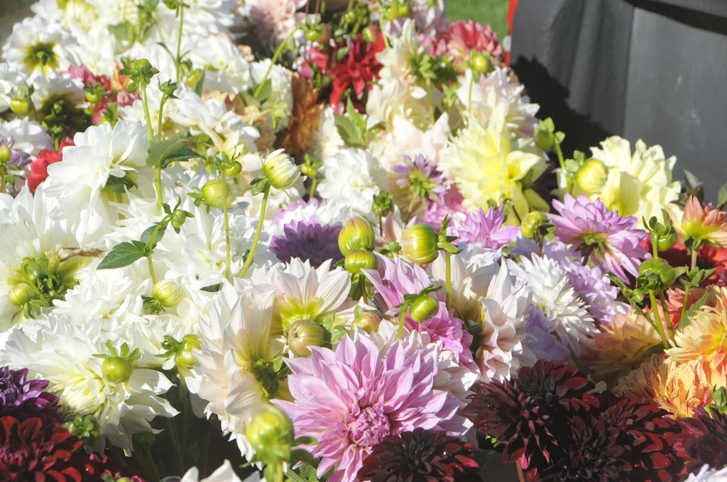 Flower Stand at Sunset View Farm | 27 Pierce Rd, Lafayette, NJ 07848, USA | Phone: (973) 579-7382