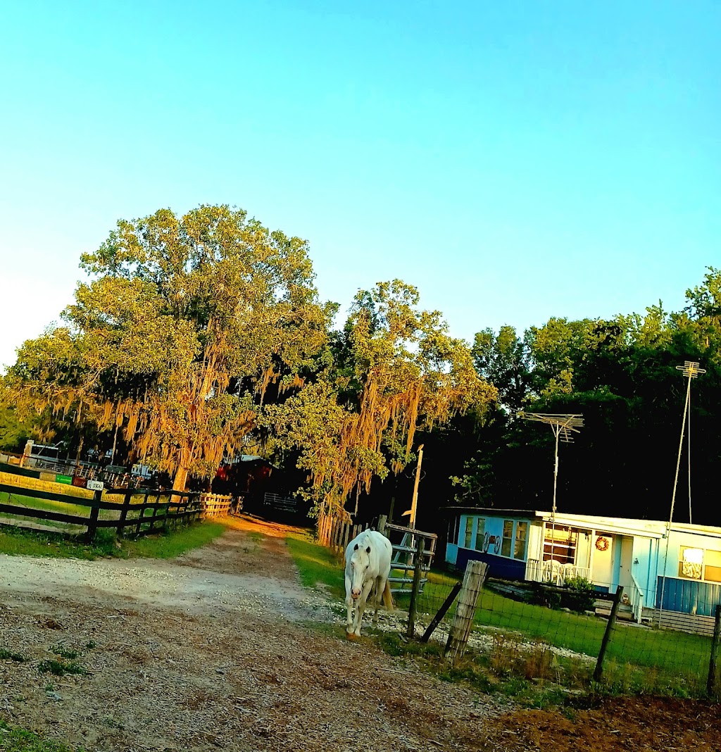 H&L Ranch & Blueberry Farm | 24537 Evaline St, Brooksville, FL 34601, USA | Phone: (352) 797-0822