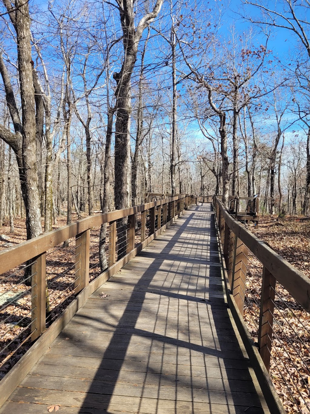 Cheaha Lake | Cheaha Rd, Delta, AL 36258, USA | Phone: (256) 488-5111