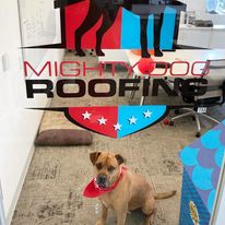 Mighty Dog Roofing of Southwest Denver Metro | 3000 Lawrence St, Denver, CO 80205, United States | Phone: (720) 743-5131