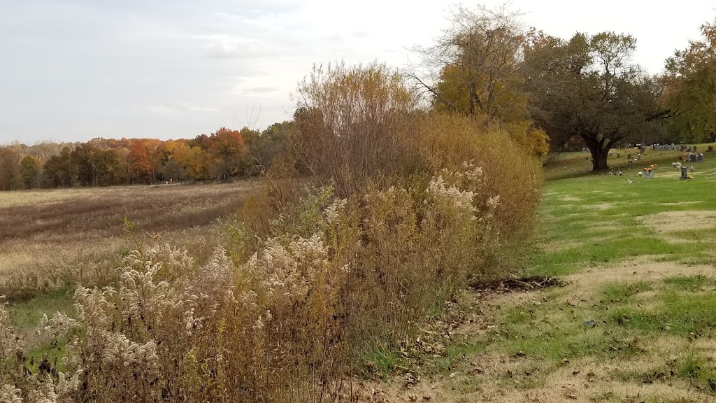Mayfield Memorial Park Cemetery | RR 4, Carlinville, IL 62626, USA | Phone: (217) 854-2432