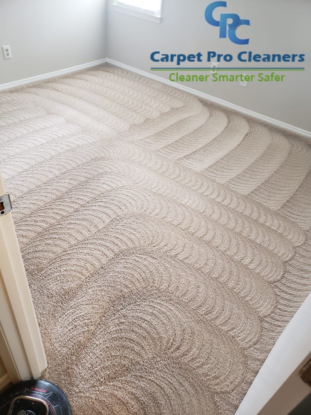 Carpet Pro Cleaners | 129 Creek Commons Ave, Garner, NC 27529, USA | Phone: (919) 376-6055