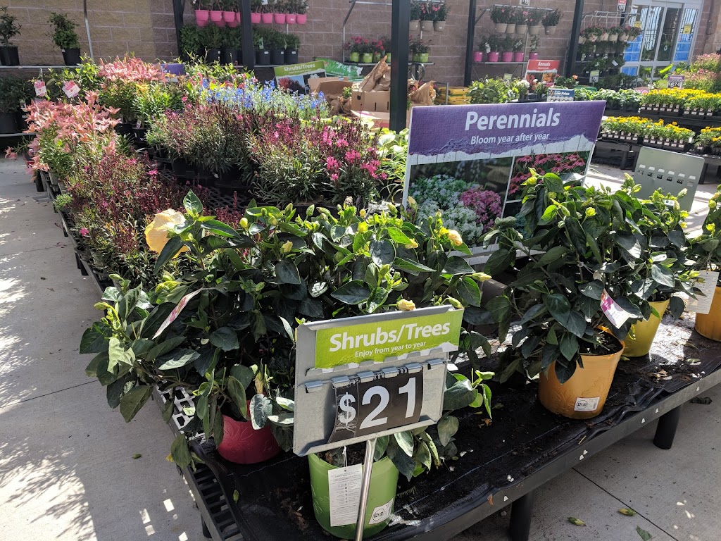 Walmart Garden Center | 4122 Lyndon B Johnson Fwy, Dallas, TX 75244, USA | Phone: (972) 980-2195