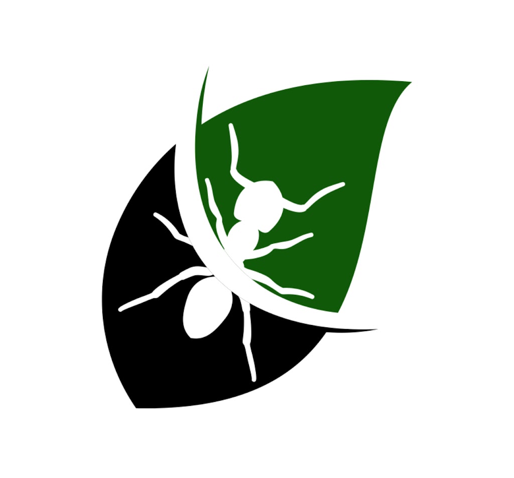 Cline Termite & Pest Control | 440 Rolling Meadows Rd, Waynesburg, PA 15370, USA | Phone: (724) 627-5097