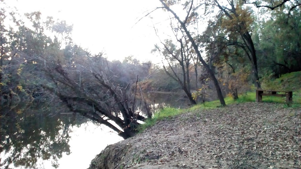 Putah Creek Riparian Reserve | Levee Rd & Brooks Rd, California 95616, Levee Rd, Davis, CA 95616, USA | Phone: (530) 752-0763