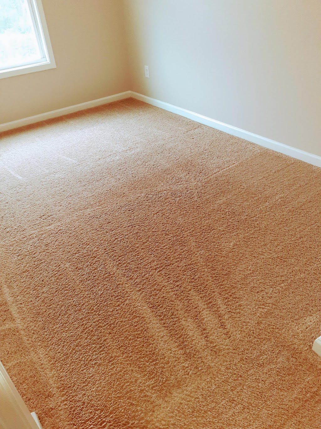 All Fresh Carpet Cleaners | 6347 Robins Nest, Stone Mountain, GA 30087, USA | Phone: (678) 973-9991