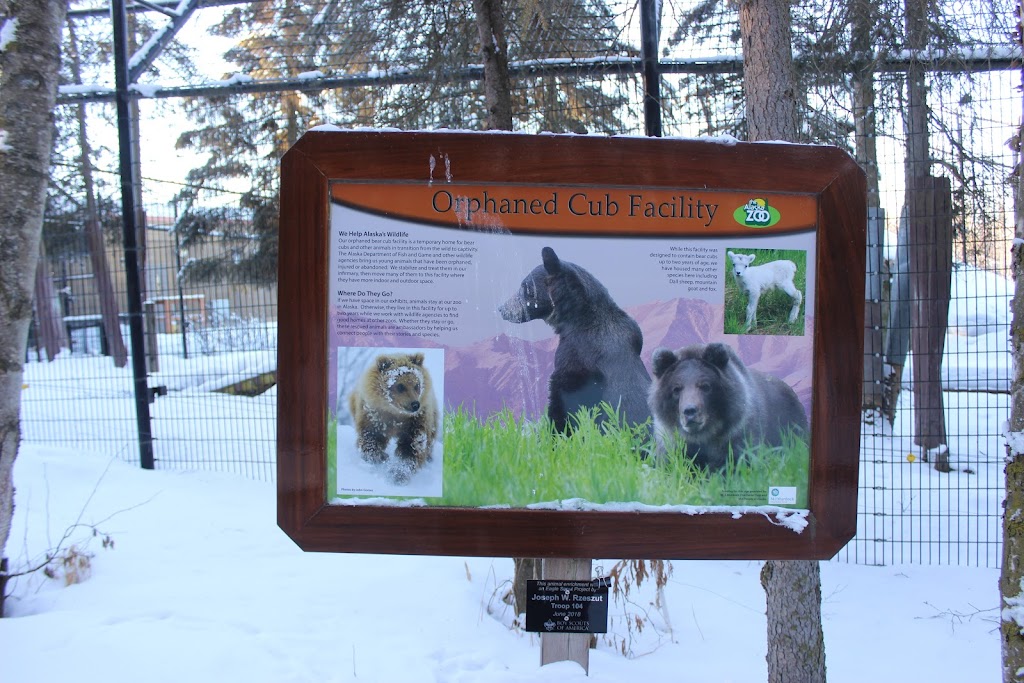 Bear Cub Exhibit | 4731 OMalley Rd, Anchorage, AK 99507, USA | Phone: (907) 346-2133