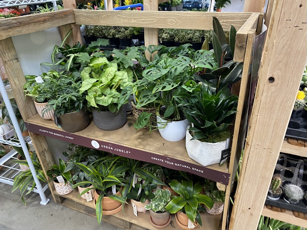 Lowes Garden Center | 907 Avenida Pico, San Clemente, CA 92673 | Phone: (949) 369-4644