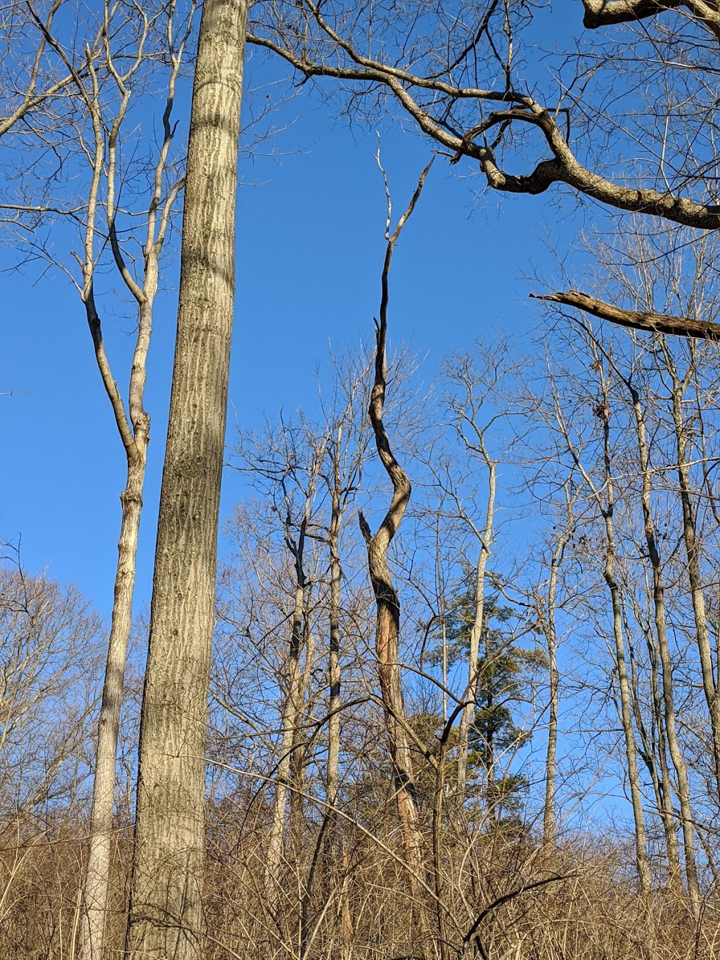 LaBoiteaux Woods Nature Center | 5400 Lanius Ln, Cincinnati, OH 45224, USA | Phone: (513) 542-2909