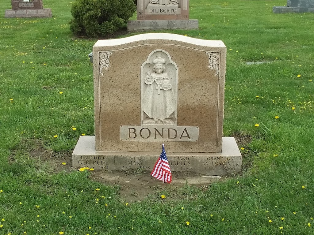 Mount Calvary Cemetery Group | 800 Pine Ridge Heritage Blvd, Cheektowaga, NY 14225, USA | Phone: (716) 892-6600