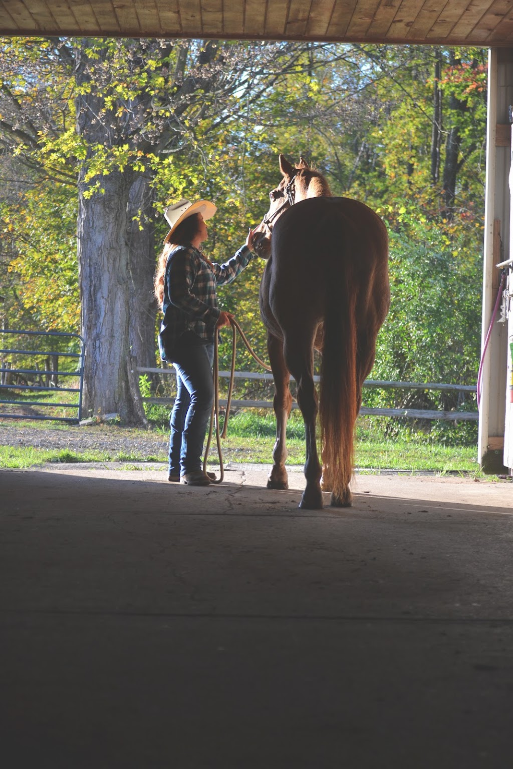 Divine Interactions Equine Facilitated Wellness, LLC | 276 PA-156, Avonmore, PA 15618, USA | Phone: (724) 567-8988